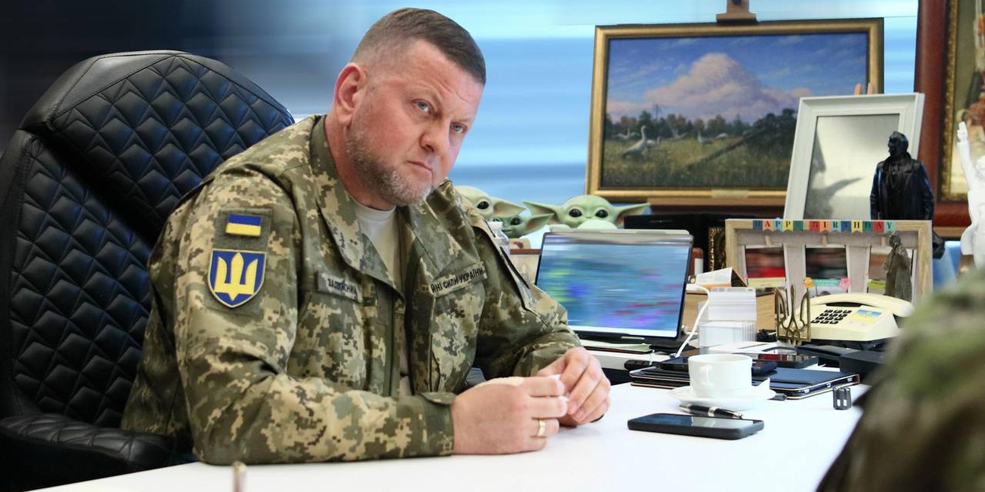 Залужный в 2025 году