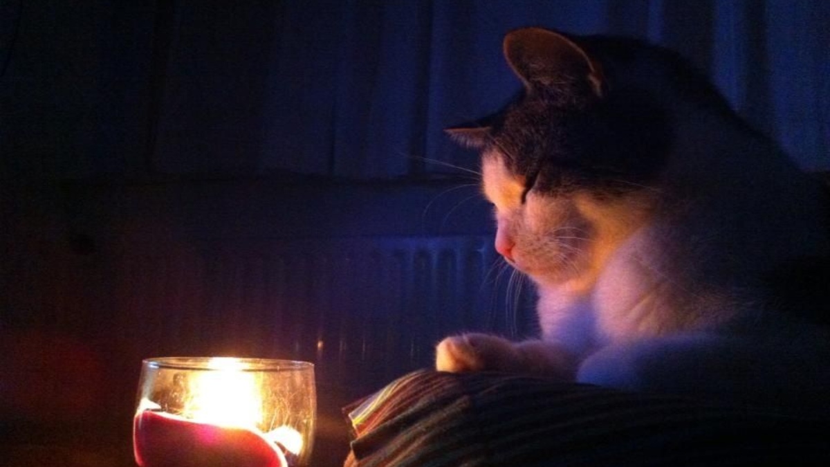 Графіки відключень електроенергії 8 січня на Полтавщині: де і коли не буде світла