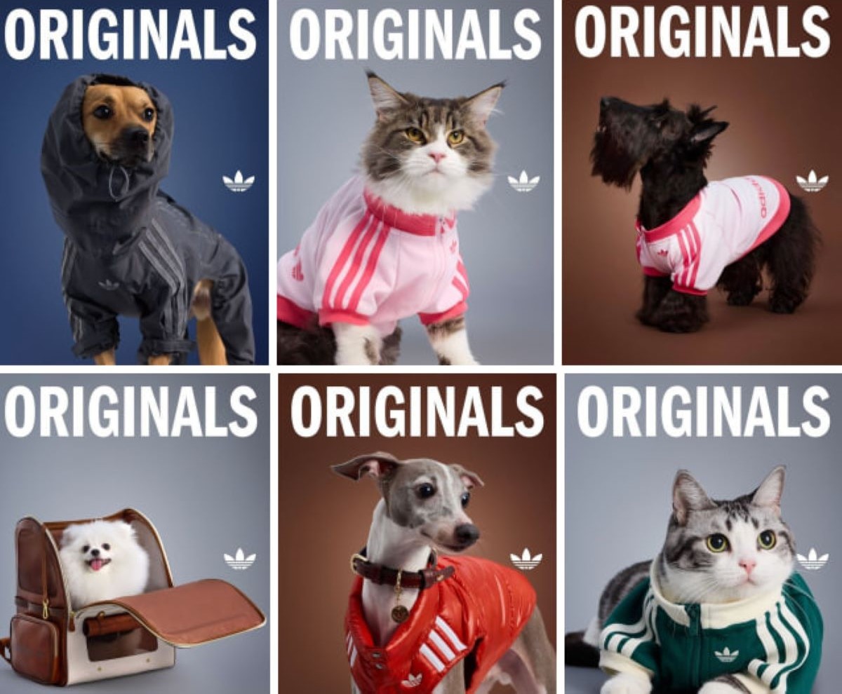 Adidas презентували осінньо-зимову колекцію для домашніх улюбленців