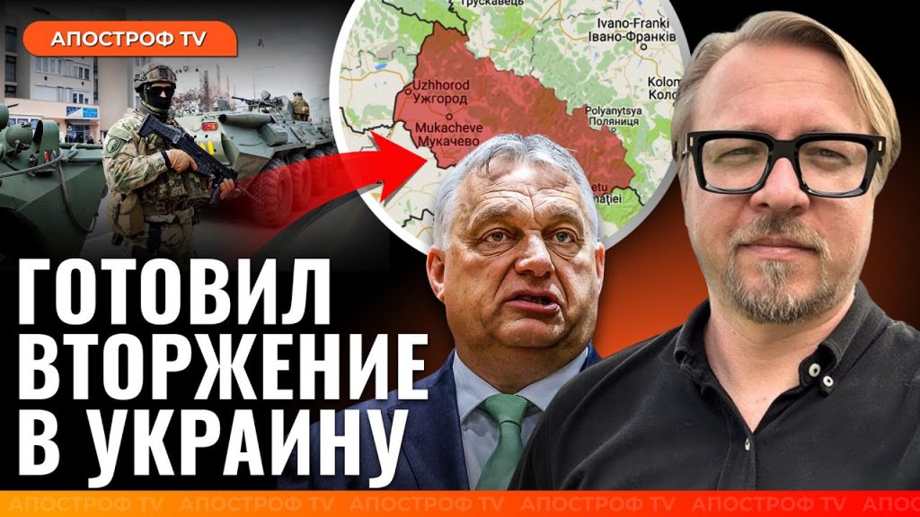Борис Тизенгаузен Биография Личная Жизнь и Карьера