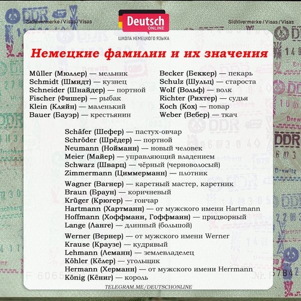 Ли Берлинская Национальность Родители: подробный обзор биографии и личной жизни
