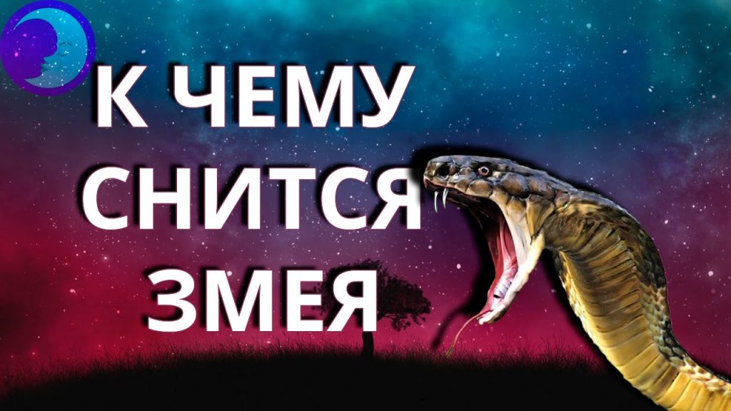 К Чему Снится Змея: Значение, Толкования и Символика