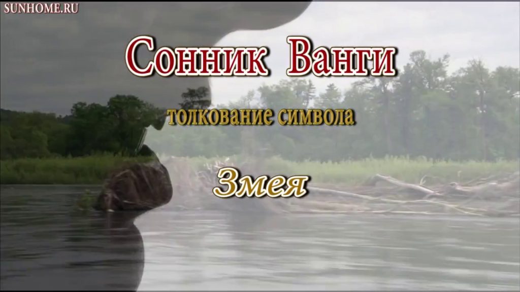 К Чему Снится Змея: Значение, Толкования и Символика