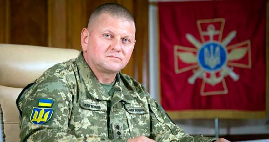 Залужний Зріст Вага: подробный обзор параметров и биографии