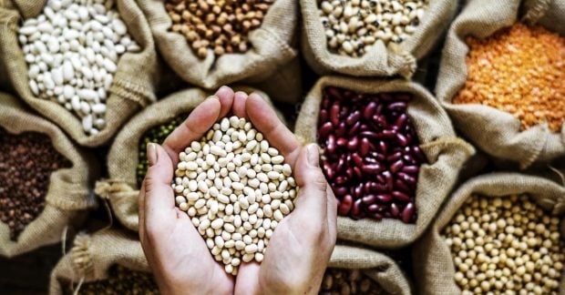 8 продуктів з клітковиною, які виявились кращими за квасолю: список раціону дієтологині