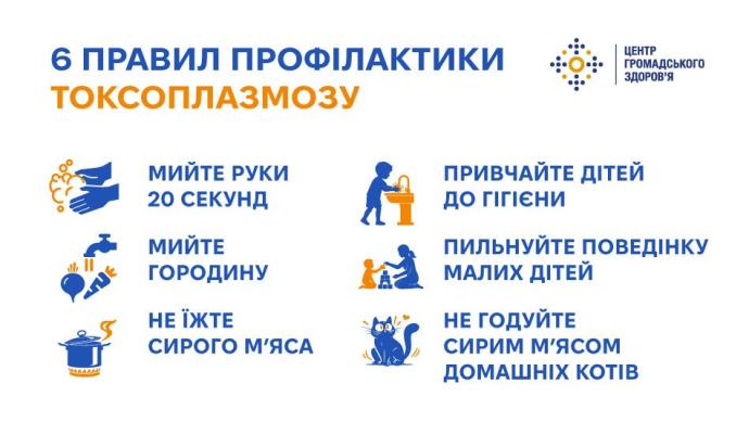 Вроджений токсоплазмоз: як мамі вберегти дитину від хвороби