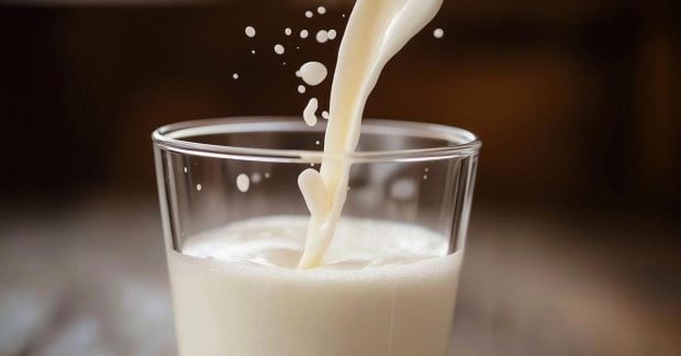 7 продуктів, які допоможуть поповнити запас кальцію замість молока