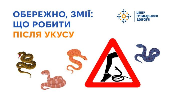 Обережно, змії: що робити після укусу