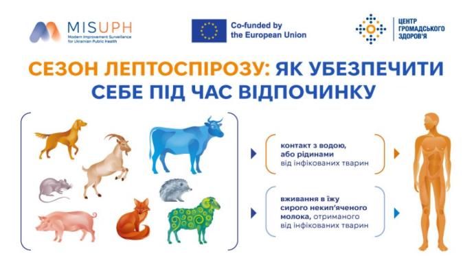 Сезон лептоспірозу: як убезпечити себе під час відпочинку